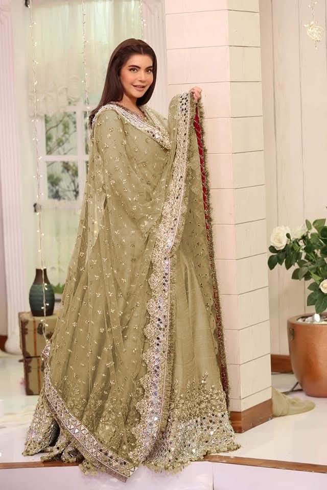 Nida Yasir Green Chiffon Embroidery Maxi Wedding Collection Unstitched