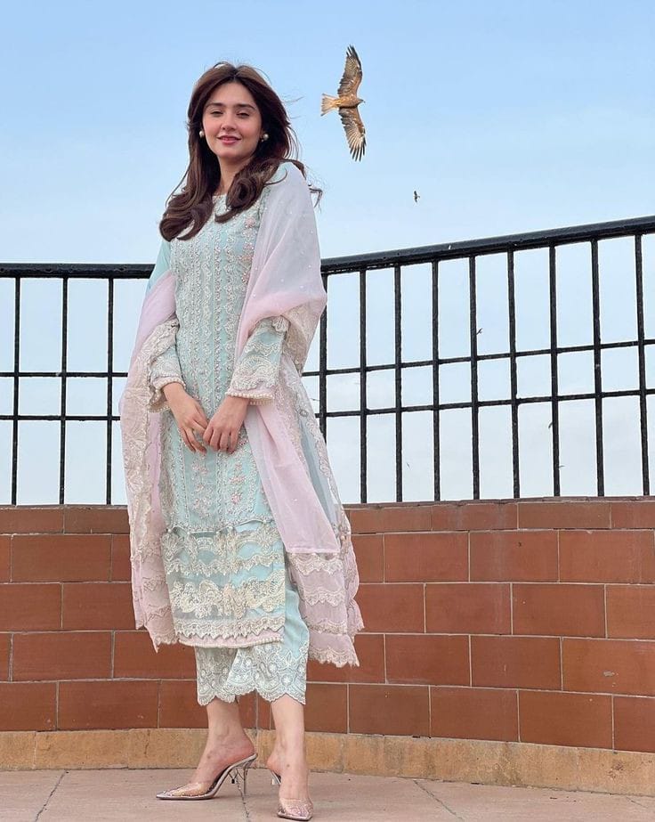 Dur_e_Fishan Wear Organza Dress 3PC