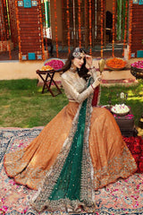 Aisha Imran Rust & Green Wedding Collection Maxi Soft Net