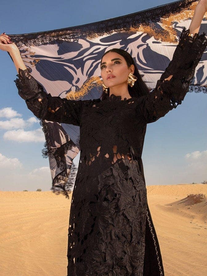 Rang Rasiya Black Chikankari  Luxury Dress Embroidery Collection