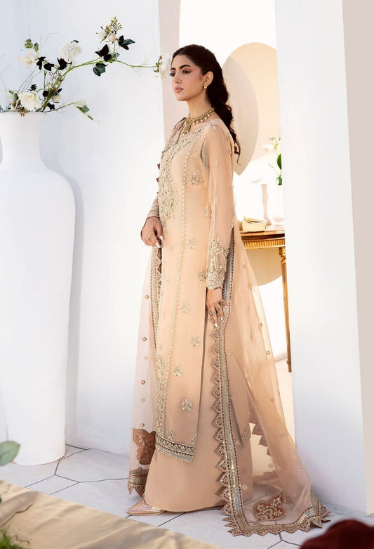 Akbar Aslam Skin Formal Collection Organza Dress Hand Work