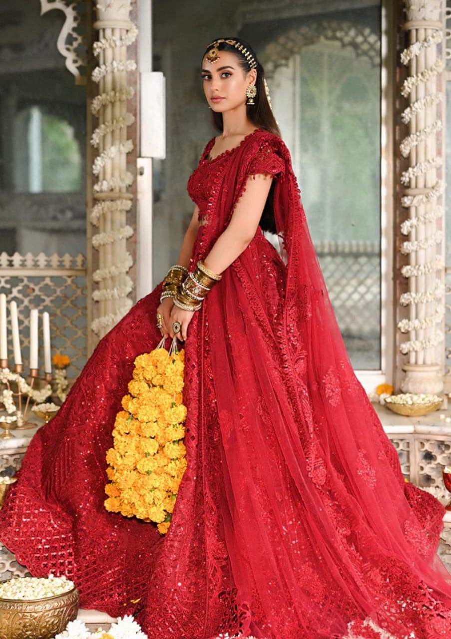Qalamkar Red Wedding Collection Net Maxi Soft Hand Work