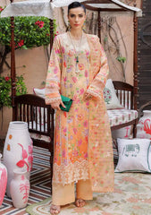 Rajbari Chikankari Lawn Embroidery Dress 3pc Unstitched