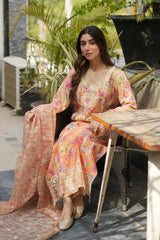 Rajbari Chikankari Lawn Embroidery Dress 3pc Unstitched