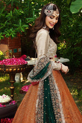 Aisha Imran Rust & Green Wedding Collection Maxi Soft Net