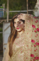 Aneelas Organza Embroidered 3 Piece Dress Unstitched