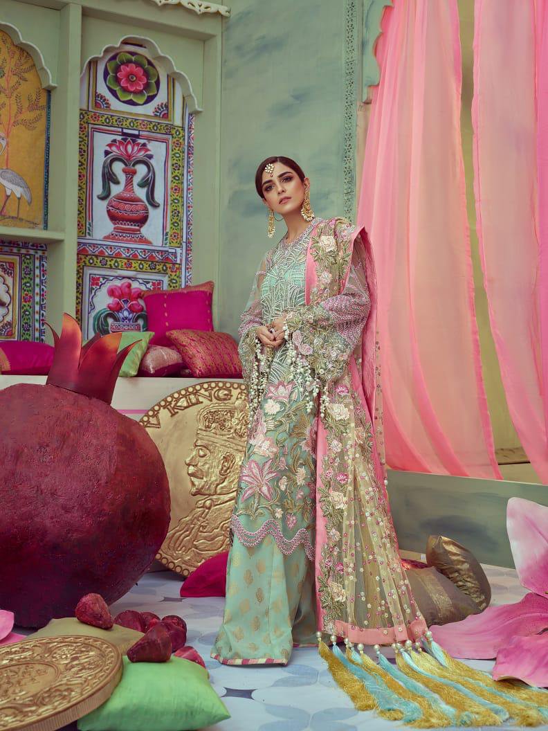 Crimson Wedding Collection Soft Net Embroidery Dress