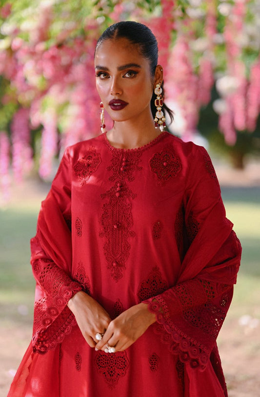 Qalamkar Red Chikankari Embroidery Dress 3pc