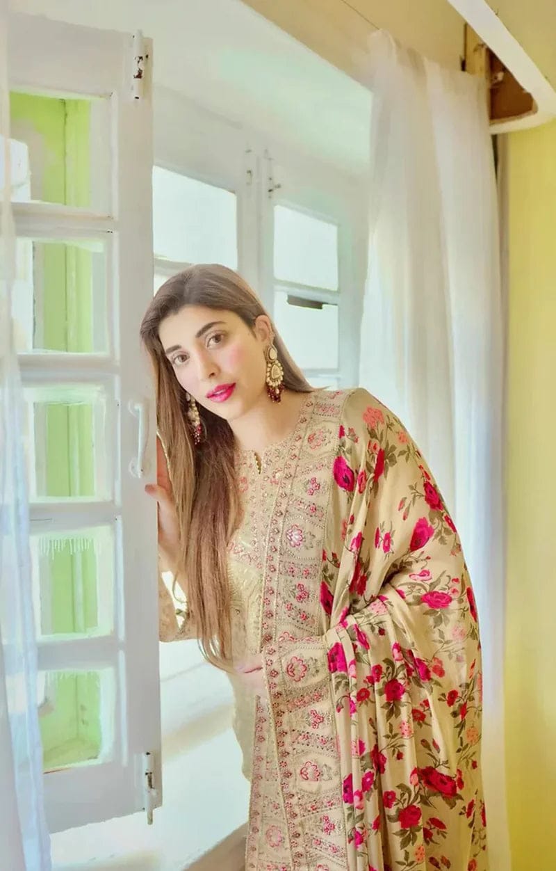 Aneelas Organza Embroidered 3 Piece Dress Unstitched