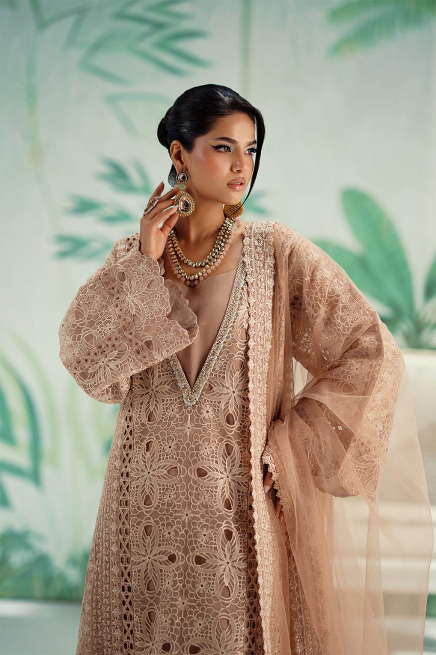 Maryum N Maria Formal Collection Organza Dress 3piece Unstitched