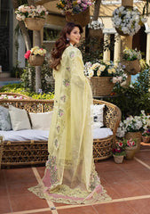 E.F GL-7108 Premium Cotton Emb Chikankari 3 Piece Unstitched Suit With Organza Dupatta 2026